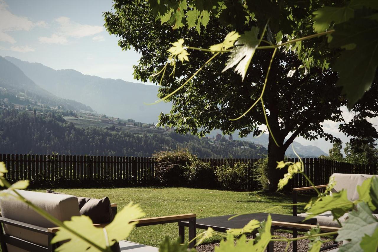 Vitis Holiday home *